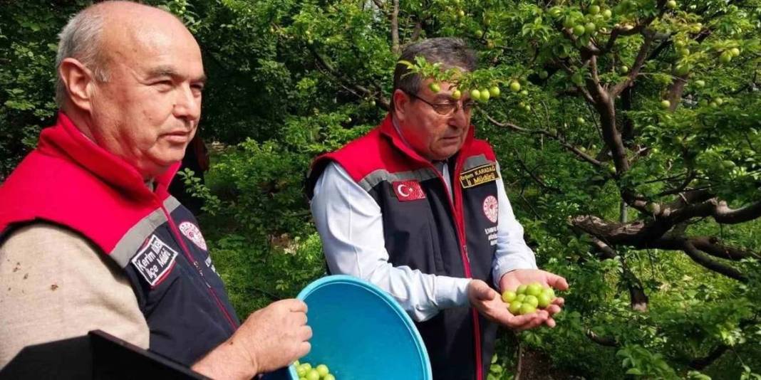 3 ay boyunca hasat edilecek: İlk ürünler 5.000 TL’den satışta 4